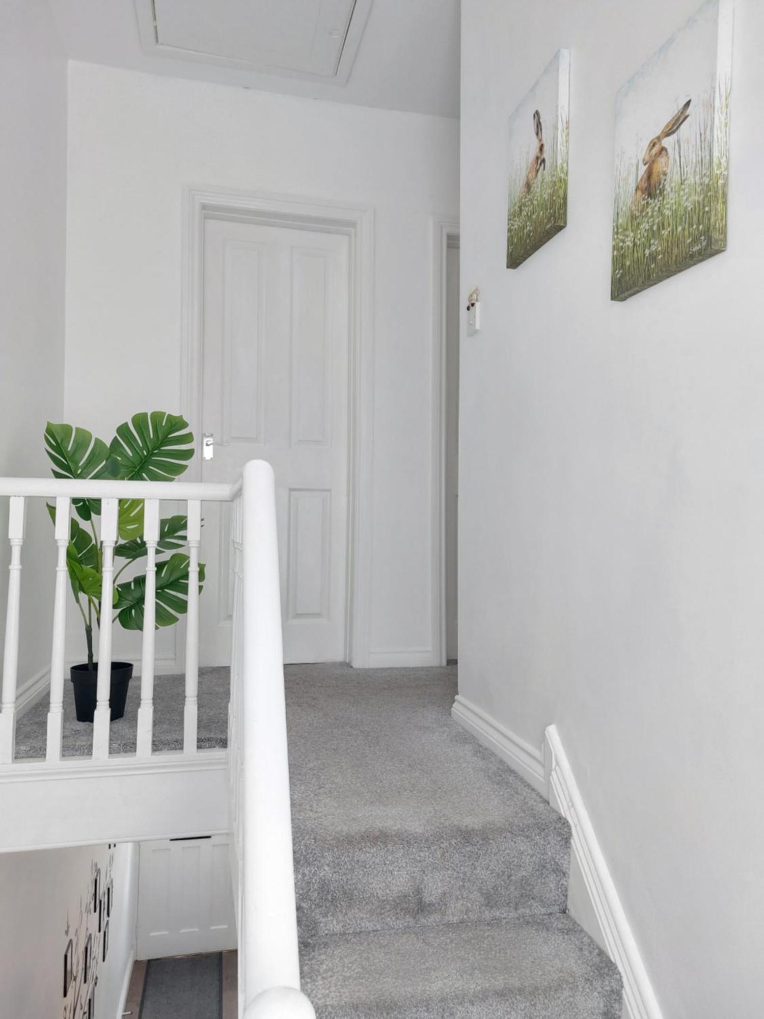 A New Near Centre Titanic And Bus Stop Cozy At Amber Appartement